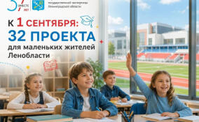 Более 30 проектов для юных ленинградцев одобрила госэкспертиза с начала года