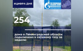За неделю в Ленобласти газ подключили еще к 254 домовладениям