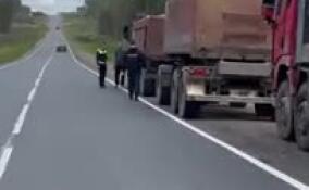 Эконадзор Ленобласти выявил нарушения при перевозке отходов в Ломоносовском и Выборгском районах