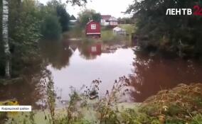 В нескольких садоводствах Киришского района вода поднялась на полтора метра