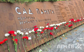 В Саду памяти во Всеволожске почтили память жертв терактов