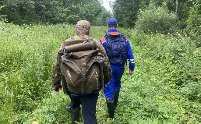 За сутки спасатели 13 раз выезжали в леса Ленобласти: спасены 12 человек