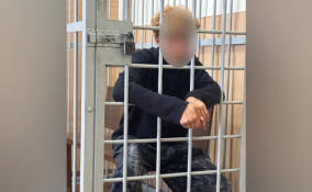 В Ленобласти задержали иностранца, пытавшегося незаконно попасть в Финляндию