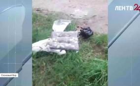 Жители Соснового Бора жалуются на грязь у площадки рядом с мемориалом «Берег мужественных»