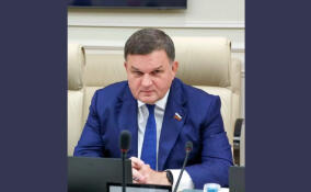 Сергей Перминов: Карьера и стремление к стабильности влияют на рождение детей в молодых семьях