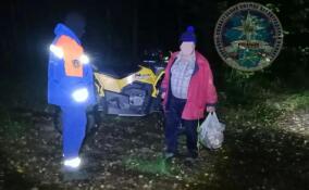 Заплутавшего мужчину вывели из леса в районе СНТ Вуокса