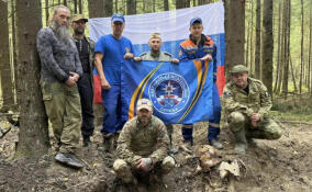 Под Красным Бором поисковики обнаружили останки 13 защитников Ленинграда