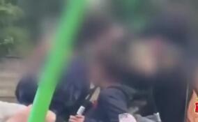Полиция установила личности несовершеннолетних участников конфликта на детской площадке в Дружной Горке