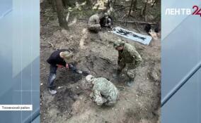 Поисковики обнаружили останки 13 бойцов Красной армии на местах боев в районе Красного Бора