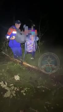 Двух заплутавших женщин вывели из леса в Волховском районе