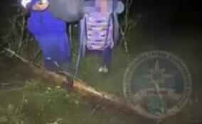 Двух заплутавших женщин вывели из леса в Волховском районе