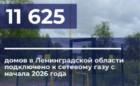 С начала года в Ленобласти газ пришел в 11 625 домов
