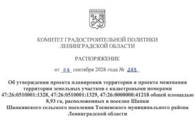 В Шапках до 2030 года планируют построить 80 индивидуальных домов