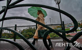 Прохладно, ветрено и дождливо: прогноз погоды в Ленобласти на 11 сентября