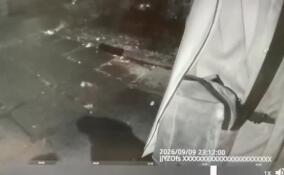 Петербуржец признался в убийстве собственной матери