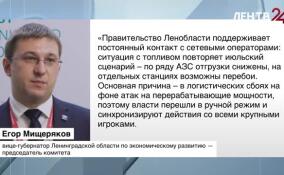 Егор Мищеряков прокомментировал ситуацию с топливом в Ленобласти