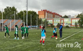 В Ленобласти стартовал 14-й сезон Школьной спортивной лиги