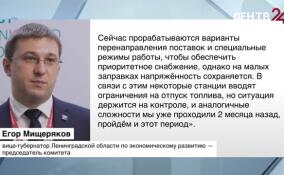 Егор Мищеряков рассказал о ситуации с топливом в Ленобласти