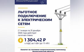 Жителям Ленобласти рассказали, кому доступно льготное подключение к электросетям
