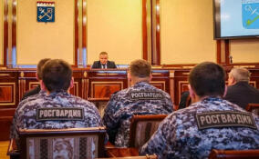 В Ленобласти наградили силовиков, участвовавших в ликвидации последствий атаки БПЛА в Большой Ижоре