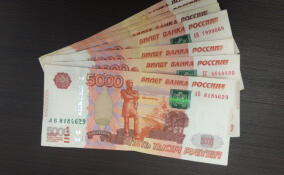 Женщина пойдет под суд за долг по алиментам почти в 800 тысяч рублей в Выборге
