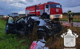 ДТП в Волосовском районе унесло жизнь подростка