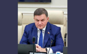 Перминов назвал призыв Вайдель по «Северному потоку» гласом здравомыслия