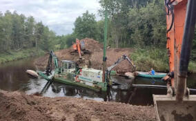 Более 9 км Коваши уже расчищено в Ломоносовском районе