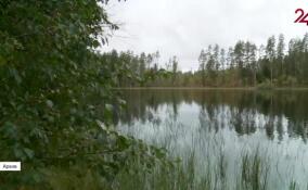 Осень в Ленобласти и Петербурге обойдется без бабьего лета