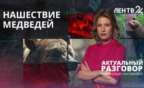 Медведи всё чаще выходят к людям: какова вероятность встречи с хищником в Ленобласти?