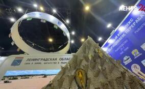 Ленобласть представила достижения своего АПК на выставке «Агрорусь»