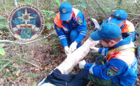Из леса в Тосненском районе эвакуировали мужчину со сломанной ногой