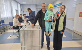 Первые избиратели проголосовали на выборах-2026 в Ленобласти