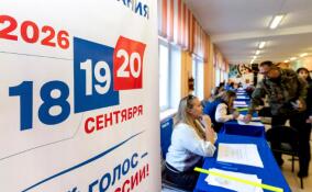 Проживающие в Эстонии россияне смогут проголосовать на избирательном участке в Ивангороде