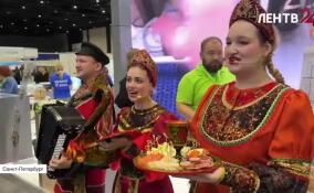 День Ленинградской области на выставке «Агрорусь»: чем районы удивляли гостей