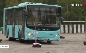 В Сертолово определили лучших водителей автобуса Ленобласти