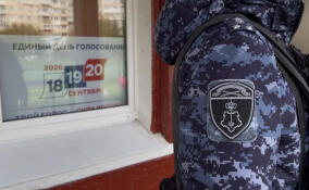 Росгвардейцы Петербурга и Ленобласти проголосовали на выборах