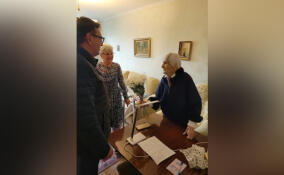 На выборах в Ленобласти проголосовала 105-летняя участница войны Надежда Паршина