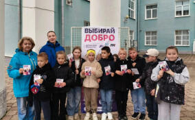 В Ленобласти в дни выборов проводят акцию «Выбирай добро»