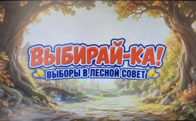 Серый Волк победил на выборах в Сосновском центре образования