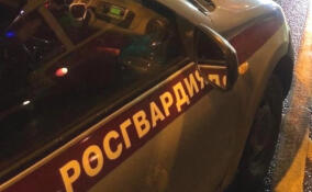 В Петербурге росгвардейцы задержали пассажира такси, открывшего стрельбу из «травмата»