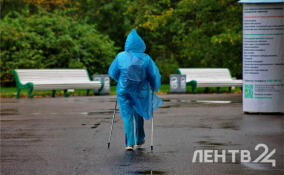 Дожди и до +17 градусов: о погоде в Ленобласти 21 сентября