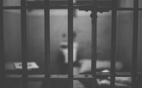 Рабочего на два месяца отправили в СИЗО за угрозу ножом полицейским в Кингисеппском районе