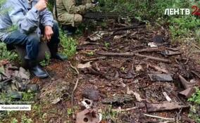 На месте падения советского самолета у Облуцкого озера продолжаются поисковые работы