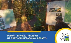 В заказниках Ленобласти продолжается ремонт инфраструктуры