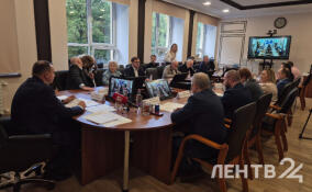 Леноблизбирком подвел итоги выборов депутатов Госдумы в Ленобласти