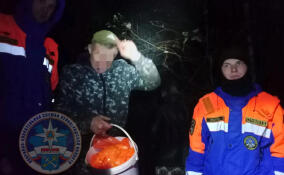 Спасатели вывели из леса в Приозерском районе двух заплутавших людей