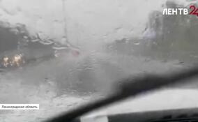 Водителей призывают к осторожности на дорогах Ленобласти