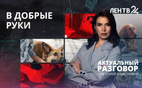 В добрые руки: как в Ленобласти животные из приютов находят семьи