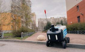 Роботы-доставщики начали работу в Центральном районе Петербурга